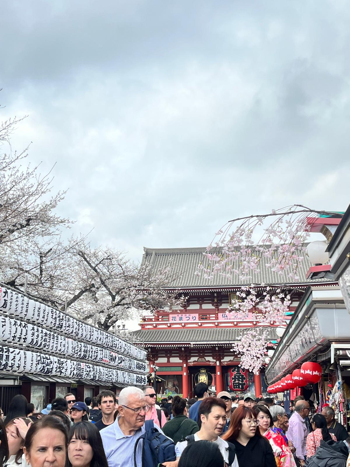 Popular Tourist Hotspot